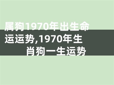 属狗1970年出生命运运势,1970年生肖狗一生运势