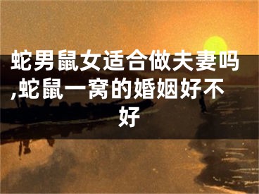 蛇男鼠女适合做夫妻吗,蛇鼠一窝的婚姻好不好