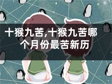 十猴九苦,十猴九苦哪个月份最苦新历