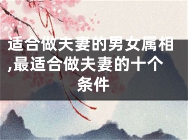 适合做夫妻的男女属相,最适合做夫妻的十个条件