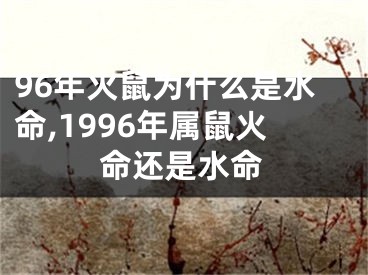 96年火鼠为什么是水命,1996年属鼠火命还是水命