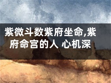 紫微斗数紫府坐命,紫府命宫的人 心机深