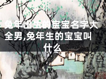 兔年出生的宝宝名字大全男,兔年生的宝宝叫什么