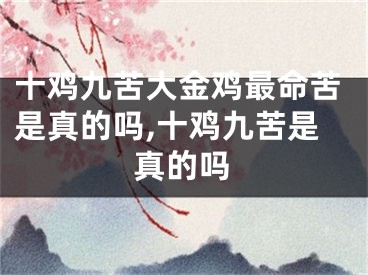 十鸡九苦大金鸡最命苦是真的吗,十鸡九苦是真的吗