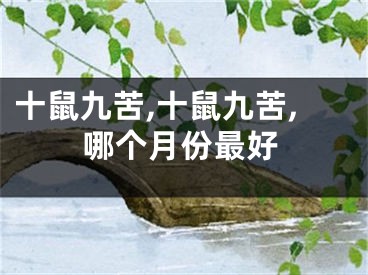 十鼠九苦,十鼠九苦,哪个月份最好