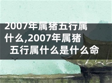 2007年属猪五行属什么,2007年属猪五行属什么是什么命
