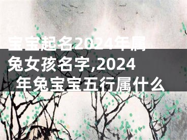 宝宝起名2024年属兔女孩名字,2024年兔宝宝五行属什么