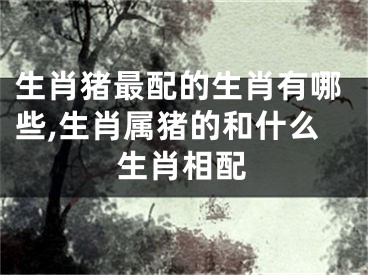 生肖猪最配的生肖有哪些,生肖属猪的和什么生肖相配