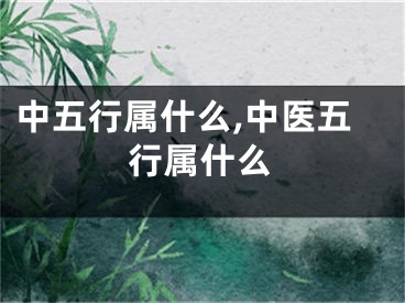 中五行属什么,中医五行属什么