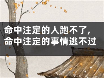命中注定的人跑不了,命中注定的事情逃不过