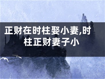 正财在时柱娶小妻,时柱正财妻子小