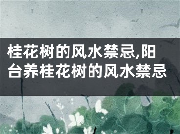 桂花树的风水禁忌,阳台养桂花树的风水禁忌