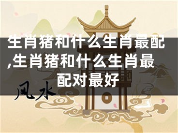 生肖猪和什么生肖最配,生肖猪和什么生肖最配对最好