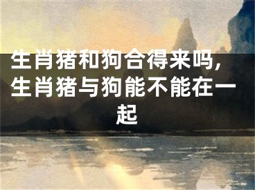 生肖猪和狗合得来吗,生肖猪与狗能不能在一起