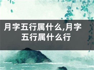月字五行属什么,月字五行属什么行