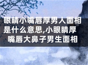 眼睛小嘴唇厚男人面相是什么意思,小眼睛厚嘴唇大鼻子男生面相
