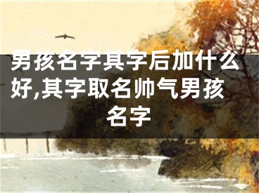 男孩名字其字后加什么好,其字取名帅气男孩名字