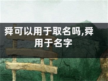 舜可以用于取名吗,舜用于名字