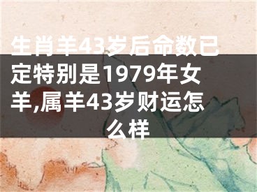 生肖羊43岁后命数已定特别是1979年女羊,属羊43岁财运怎么样