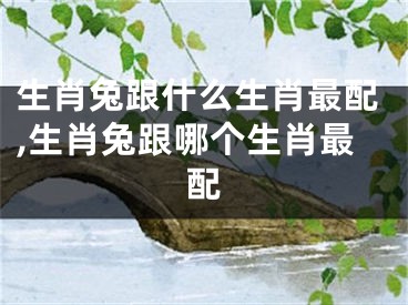 生肖兔跟什么生肖最配,生肖兔跟哪个生肖最配