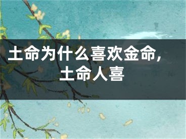 土命为什么喜欢金命,土命人喜