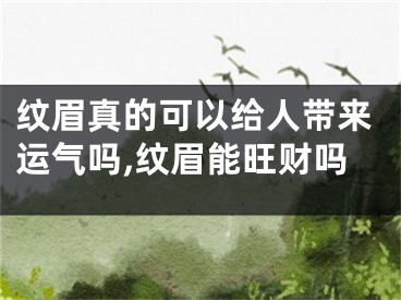 纹眉真的可以给人带来运气吗,纹眉能旺财吗