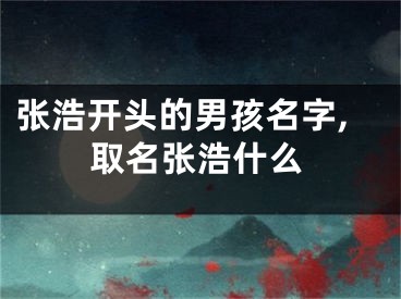 张浩开头的男孩名字,取名张浩什么