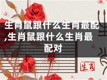 生肖鼠跟什么生肖最配,生肖鼠跟什么生肖最配对