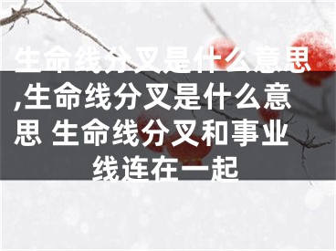 生命线分叉是什么意思,生命线分叉是什么意思 生命线分叉和事业线连在一起