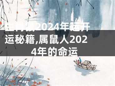 生肖鼠2024年运开运秘籍,属鼠人2024年的命运