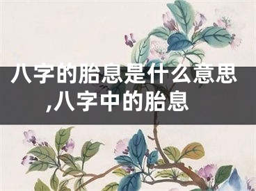 八字的胎息是什么意思,八字中的胎息