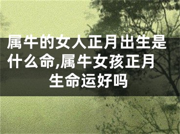属牛的女人正月出生是什么命,属牛女孩正月生命运好吗