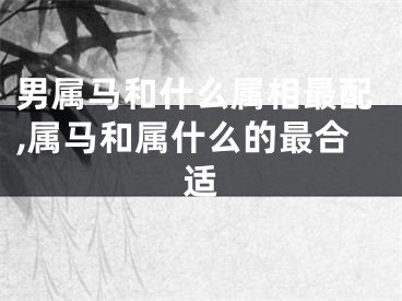 男属马和什么属相最配,属马和属什么的最合适