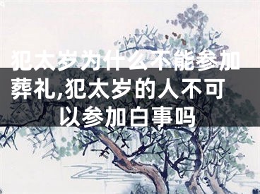 犯太岁为什么不能参加葬礼,犯太岁的人不可以参加白事吗
