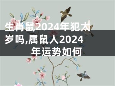 生肖鼠2024年犯太岁吗,属鼠人2024年运势如何