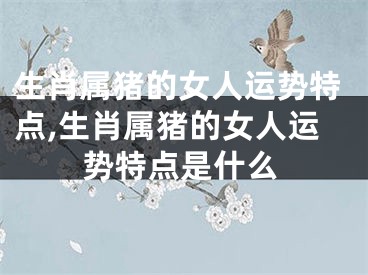 生肖属猪的女人运势特点,生肖属猪的女人运势特点是什么