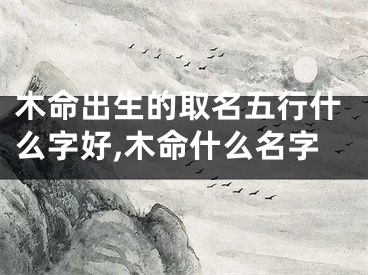 木命出生的取名五行什么字好,木命什么名字