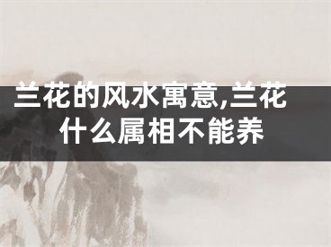 兰花的风水寓意,兰花什么属相不能养