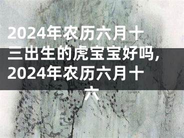 2024年农历六月十三出生的虎宝宝好吗,2024年农历六月十六