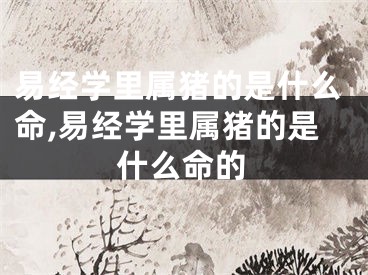 易经学里属猪的是什么命,易经学里属猪的是什么命的