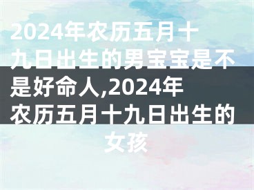 2024年农历五月十九日出生的男宝宝是不是好命人,2024年农历五月十九日出生的女孩