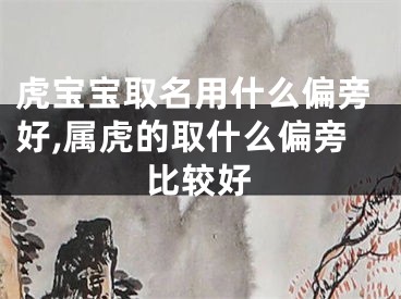 虎宝宝取名用什么偏旁好,属虎的取什么偏旁比较好