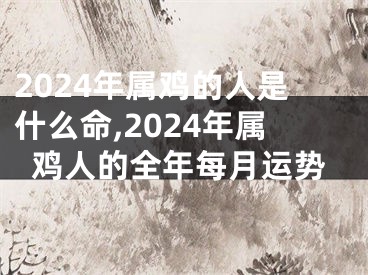 2024年属鸡的人是什么命,2024年属鸡人的全年每月运势