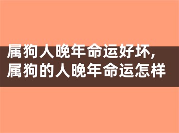 属狗人晚年命运好坏,属狗的人晚年命运怎样