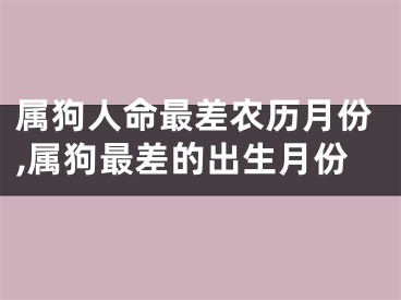 属狗人命最差农历月份,属狗最差的出生月份