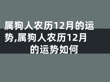 属狗人农历12月的运势,属狗人农历12月的运势如何