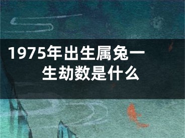 1975年出生属兔一生劫数是什么