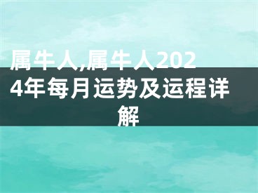 属牛人,属牛人2024年每月运势及运程详解