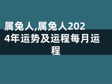 属兔人,属兔人2024年运势及运程每月运程