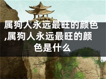 属狗人永远最旺的颜色,属狗人永远最旺的颜色是什么
